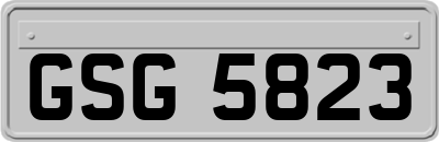 GSG5823