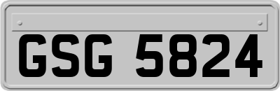 GSG5824