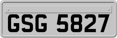 GSG5827