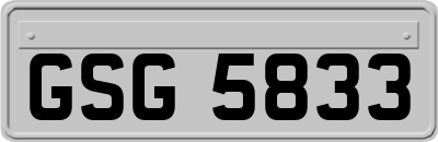 GSG5833