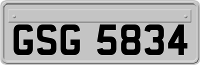 GSG5834