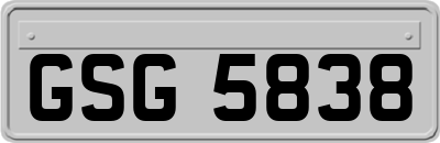 GSG5838