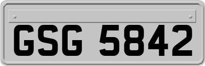 GSG5842