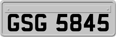 GSG5845