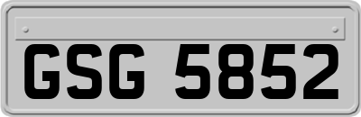 GSG5852