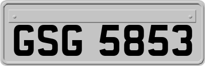GSG5853