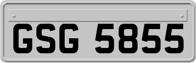 GSG5855
