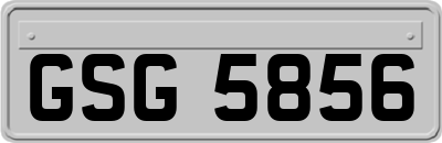 GSG5856