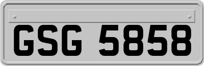 GSG5858