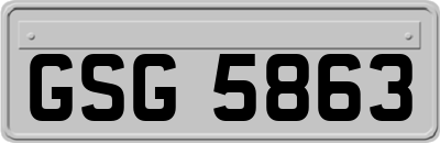 GSG5863