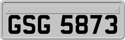 GSG5873
