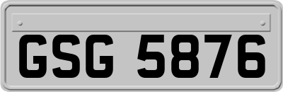GSG5876