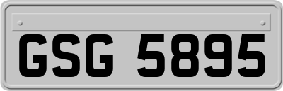 GSG5895