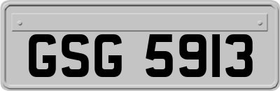 GSG5913