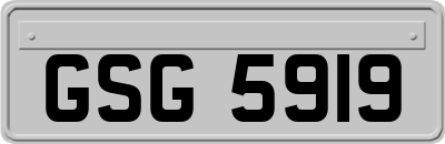 GSG5919