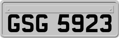 GSG5923