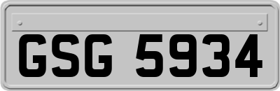 GSG5934