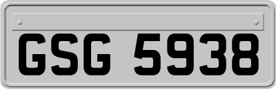 GSG5938
