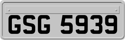 GSG5939