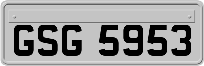 GSG5953