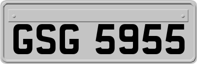 GSG5955