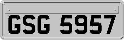 GSG5957