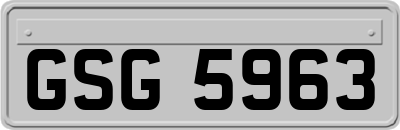 GSG5963