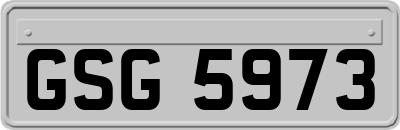 GSG5973