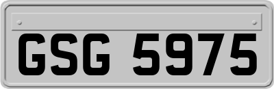 GSG5975