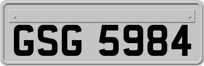 GSG5984