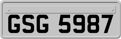 GSG5987