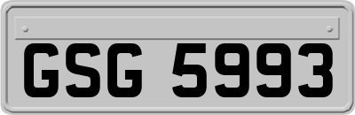 GSG5993