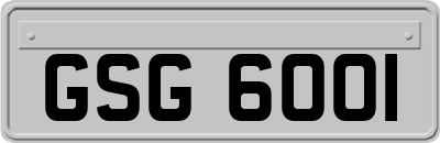 GSG6001