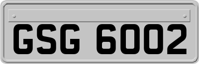 GSG6002