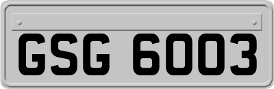 GSG6003