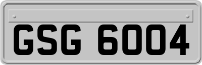 GSG6004