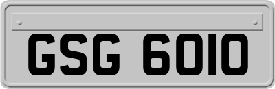 GSG6010
