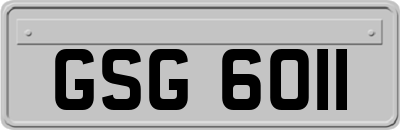 GSG6011