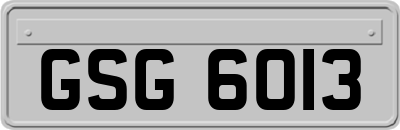 GSG6013