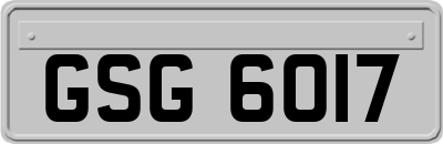 GSG6017