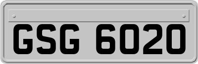 GSG6020