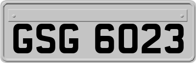 GSG6023