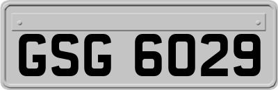 GSG6029