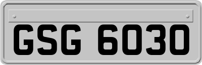 GSG6030
