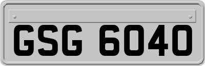 GSG6040