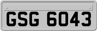 GSG6043