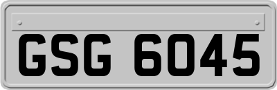 GSG6045