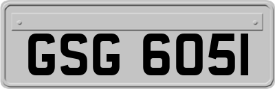 GSG6051