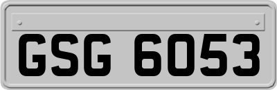 GSG6053