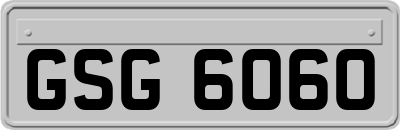 GSG6060
